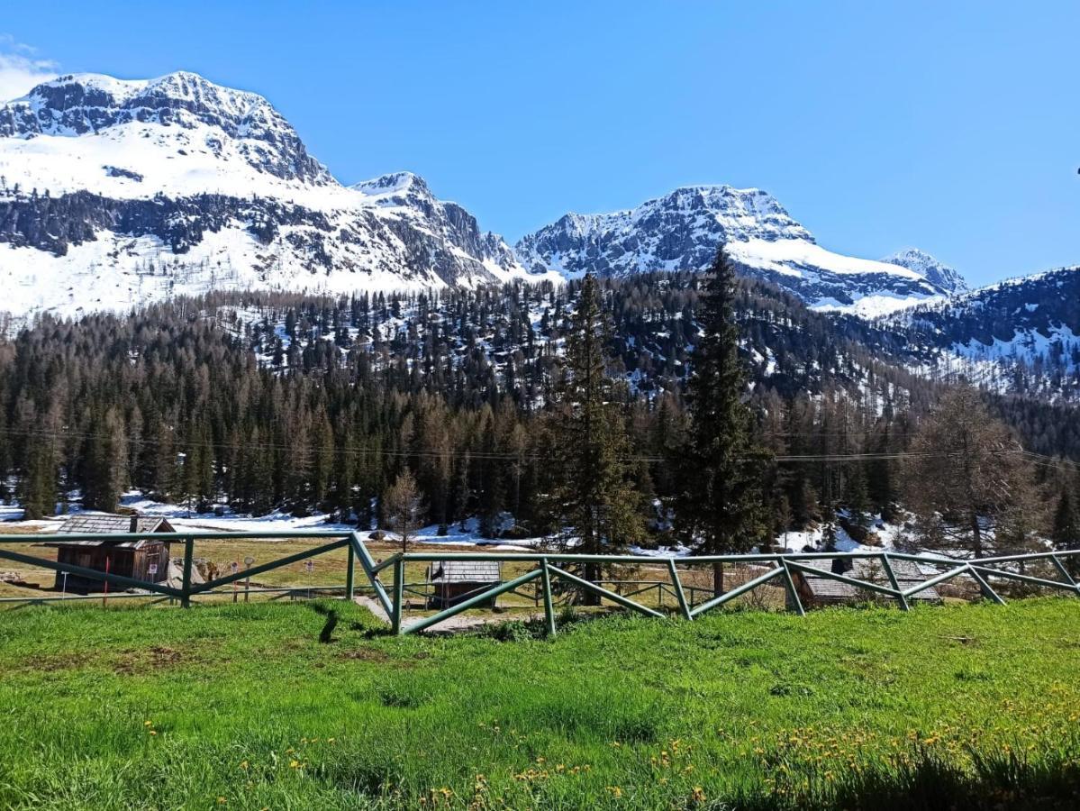Casa Dolomiti Διαμέρισμα Moena Εξωτερικό φωτογραφία